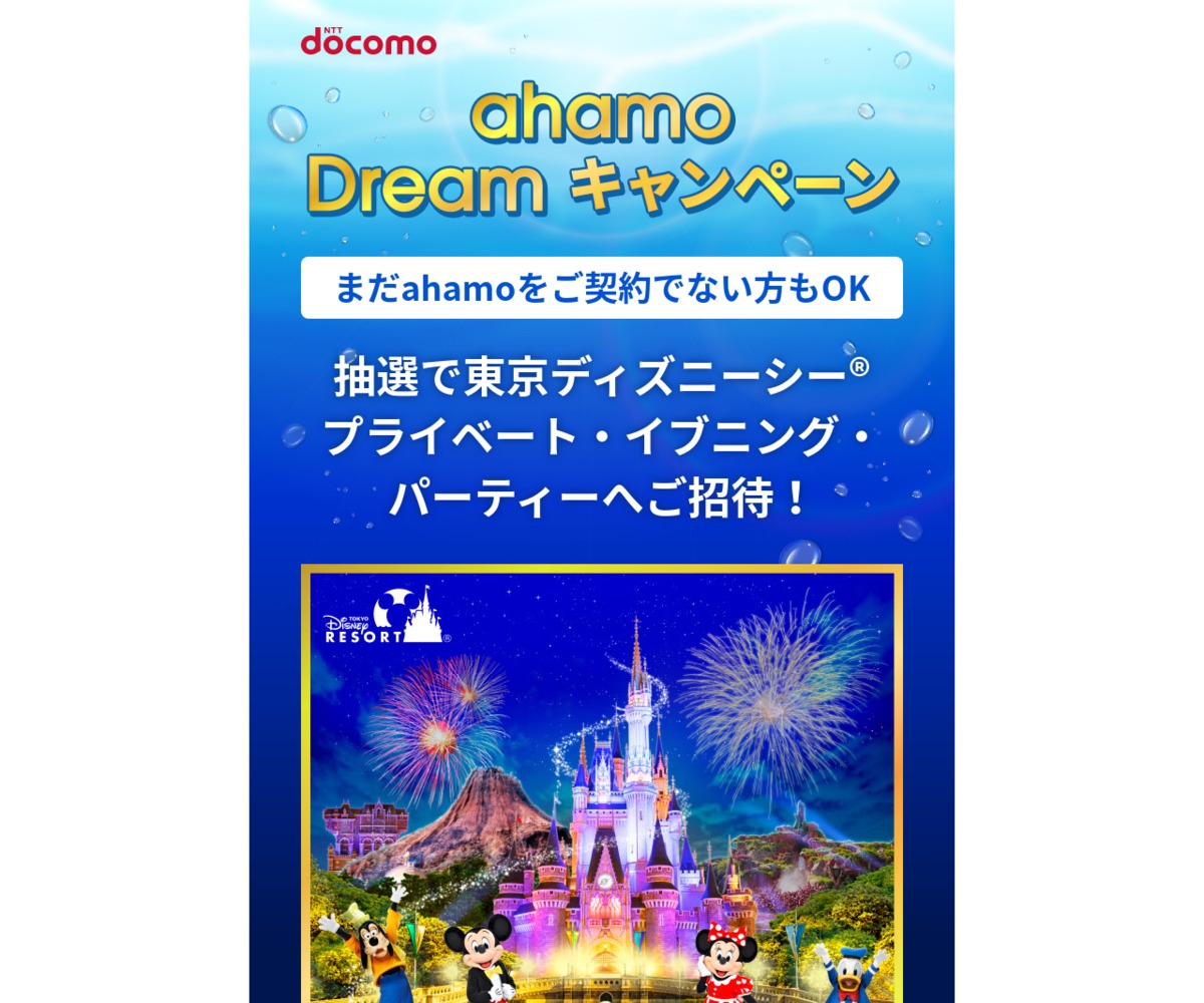 東京ディズニーシー プライベート・イブニング・パーティー ペア