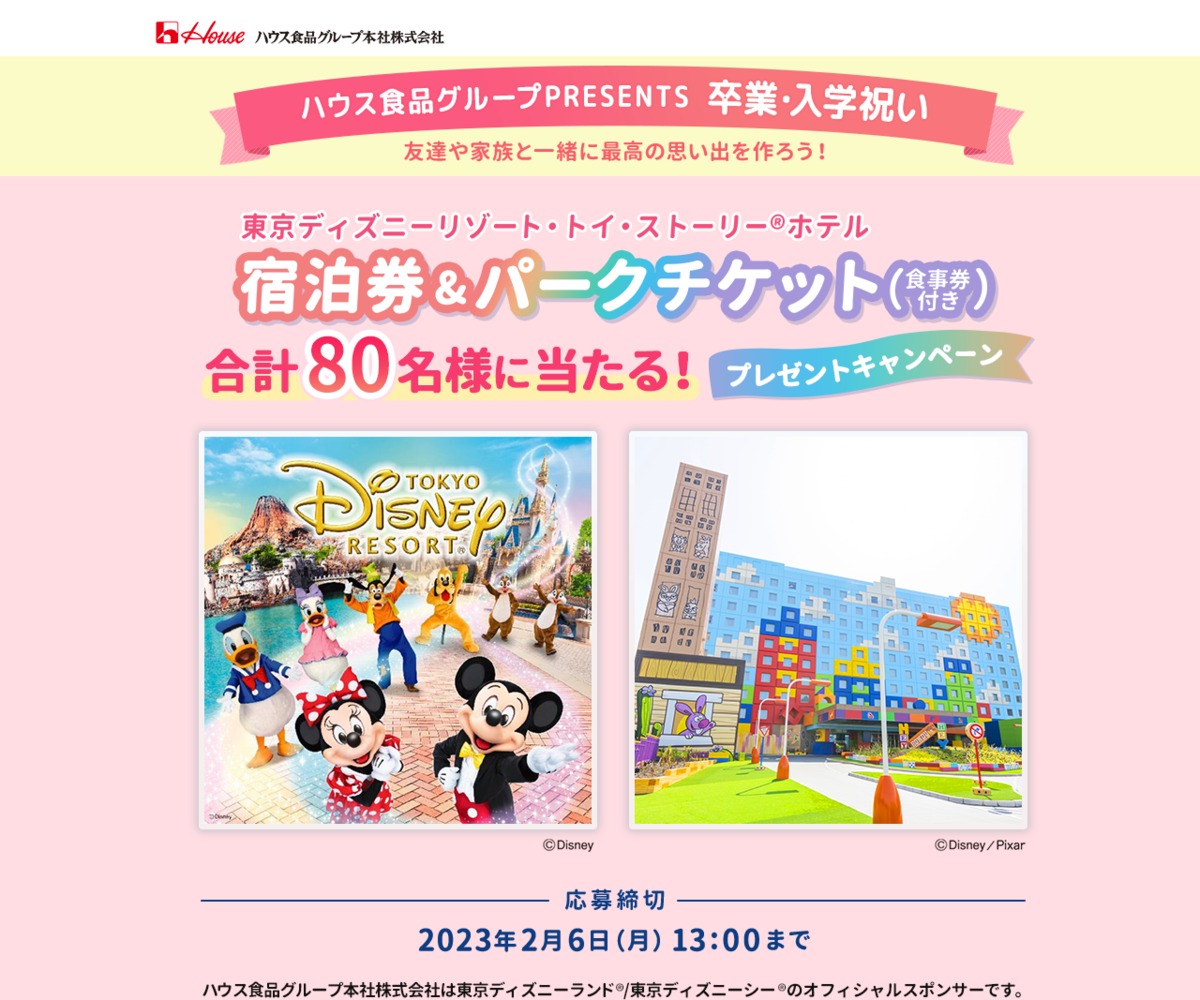 東京ディズニーホテル宿泊券＆東京ディズニーランド・パークチケット