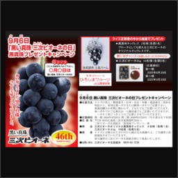 タヒチ産黒真珠ネックレス 三次ピオーネ2kgを合計12名様にプレゼント 〆切2020年09月20日 三次ピオーネ生産組合