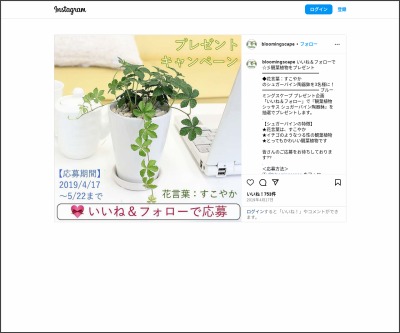 ロイヤリティフリーシュガーバイン 花言葉 すべての美しい花の画像