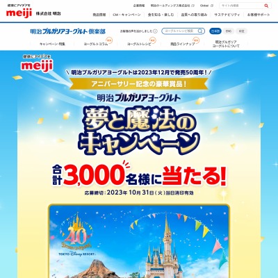 東京ディズニーランド ホテル ランチパーティーご招待券 東京