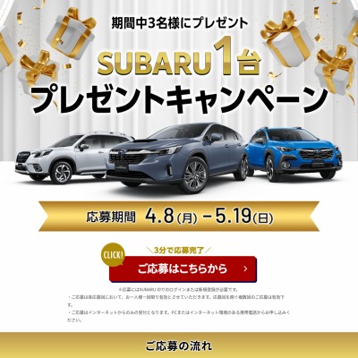 SUBARU アイサイト搭載車 レイバック・プレミアム アーバンパッケージ ...